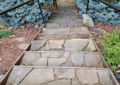 Landscape Contractor