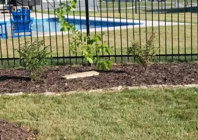 Landscape Services