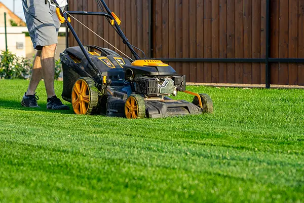 Lawn Mowing Service