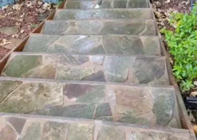 Professional Landscaping