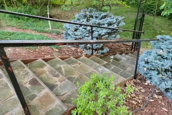 Yard Maintenance